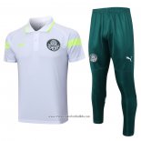 Conjunto Polo Palmeiras 2023-2024 Grey