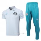 Conjunto Polo Palmeiras 2023-2024 Grey